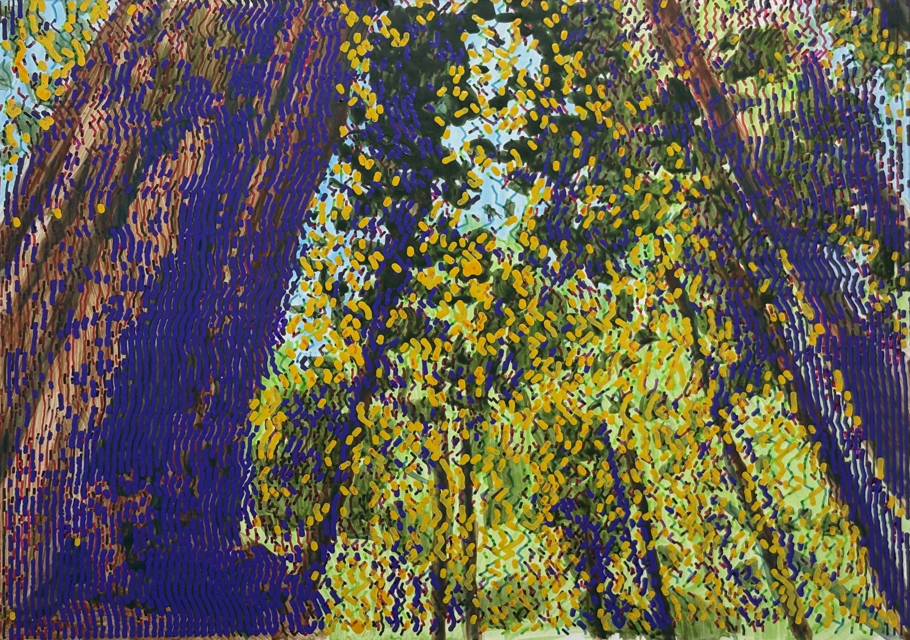 landscape.20250913.photo_lines