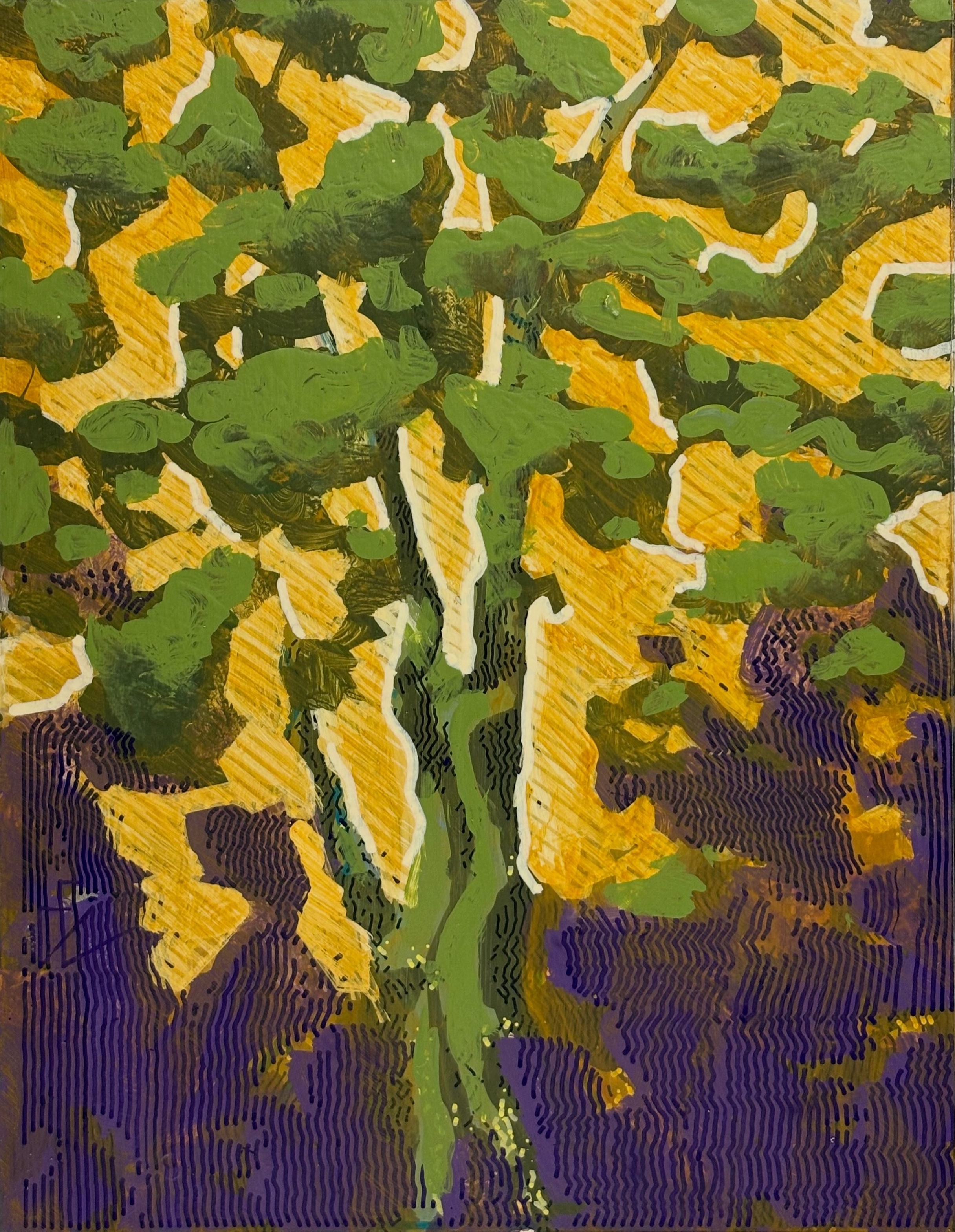 landscape.20250927.photo_lines.hatched_outline